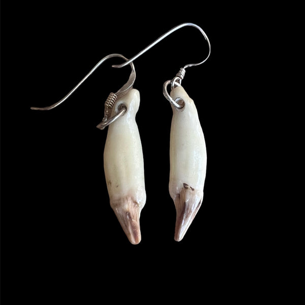 Niho Mau Taringa - Seal Tooth Earrings