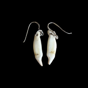 Niho Mau Taringa - Seal Tooth Earrings