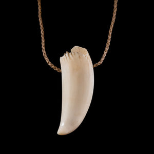 Paraoa Rei Niho - Whale Tooth Pendant
