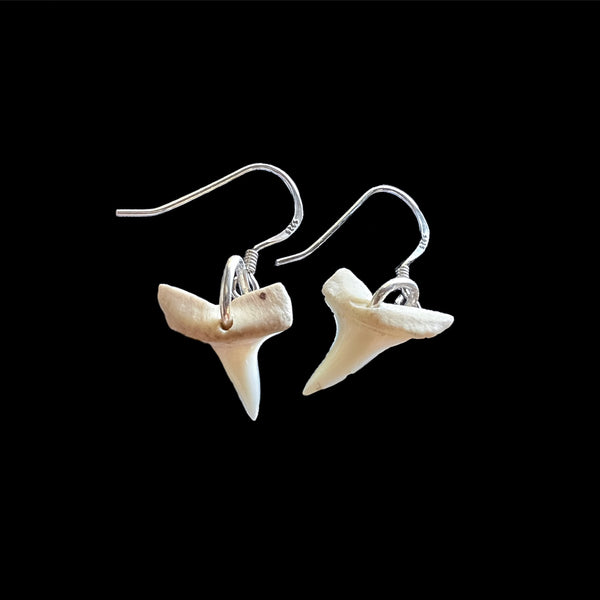 Pēpi Mau Taringa - Mini Shark Teeth Earrings