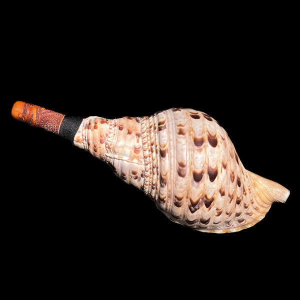 Pūtātara - Maori Trumpet