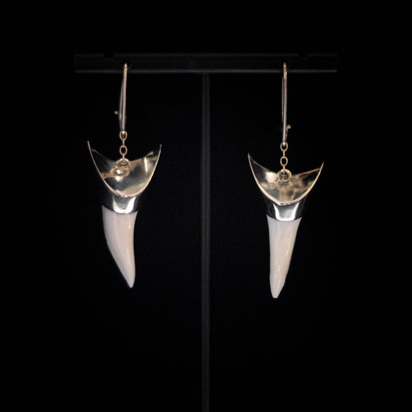 Mako-Zähne-Ohrringe aus massivem 9-karätigem Gold mit Kappen