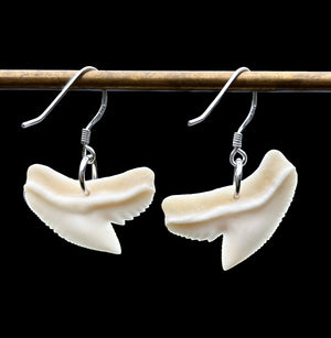 Tiger Shark Teeth Earrings