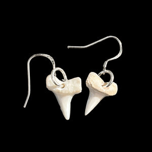 Pēpi Mako Mau Taringa - Mini Shark Teeth Earrings